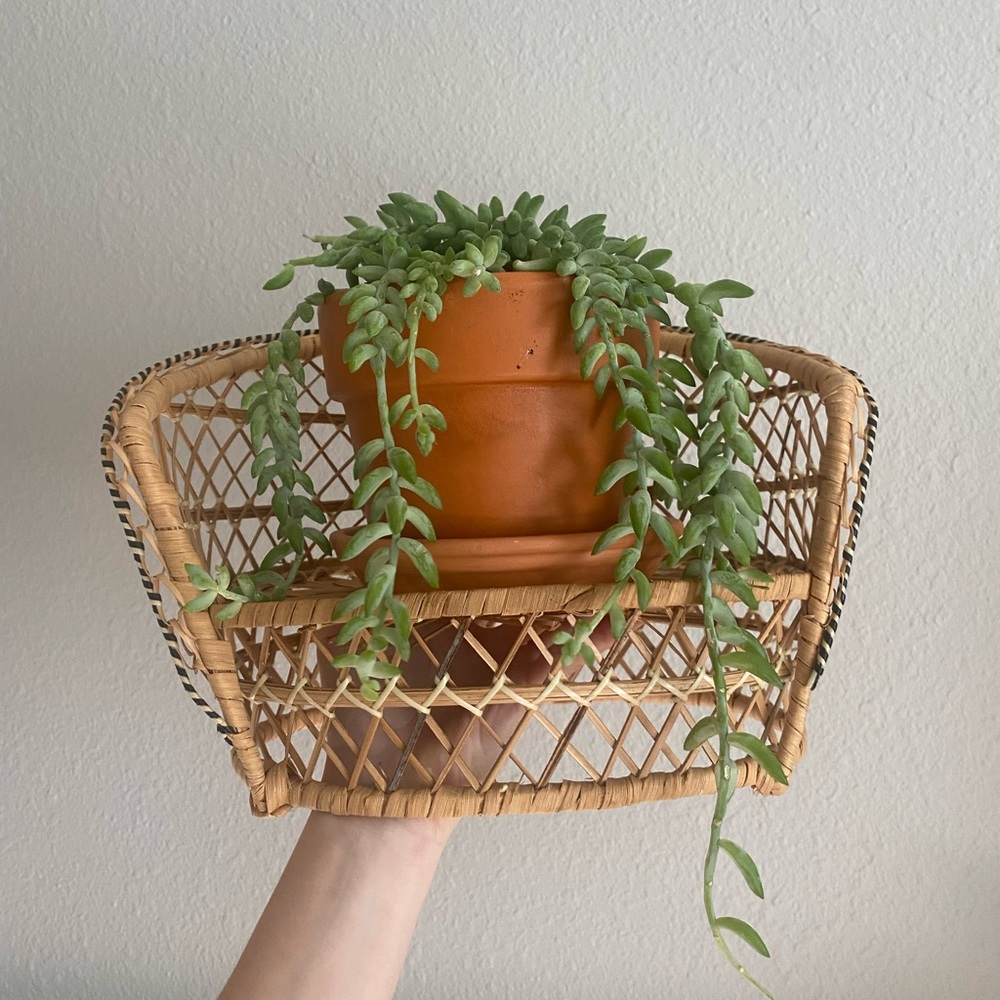Vintage plant/doll stand